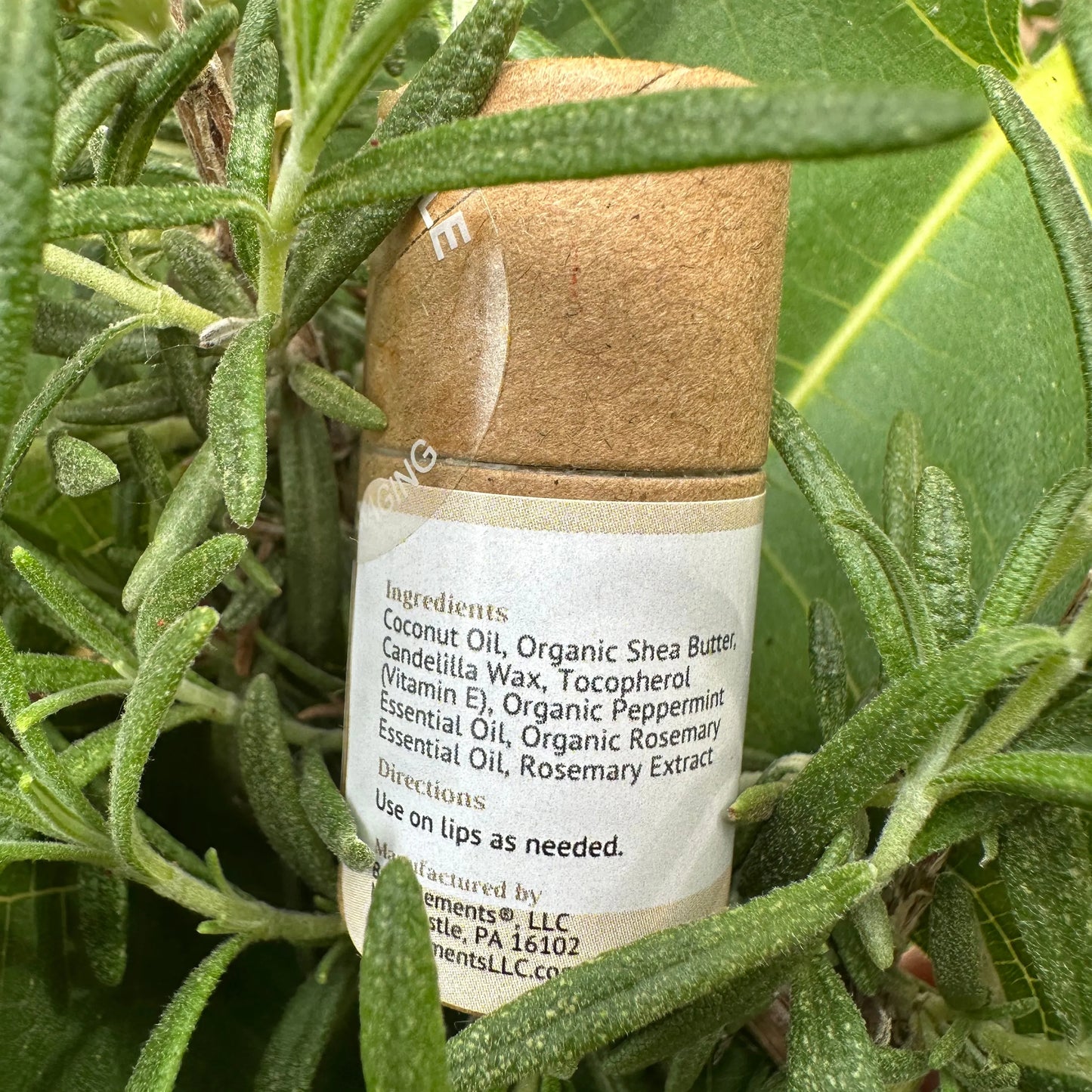 Lip Balm | Peppermint & Rosemary