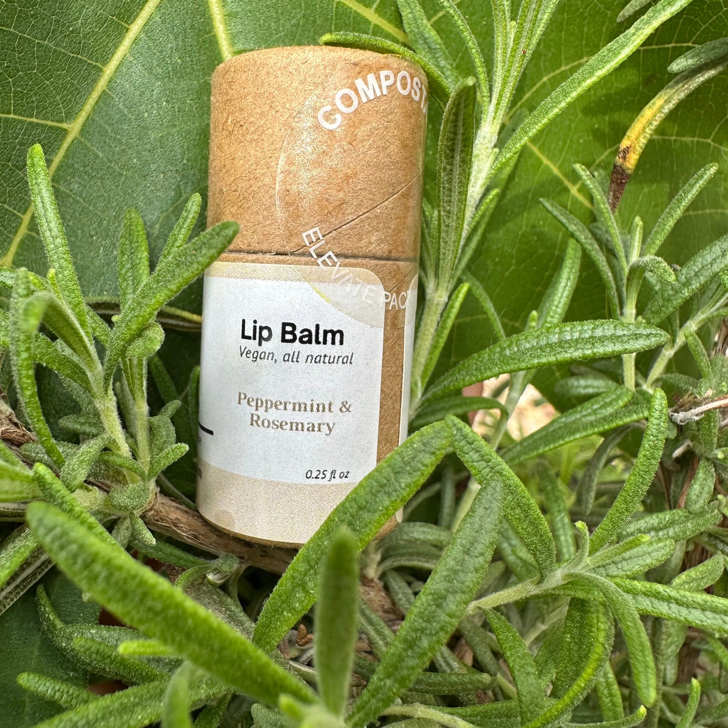 Lip Balm | Peppermint & Rosemary